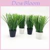 Artificial Allium Ascalonicum Potted Plant For Photography Studio Home Decor Gift