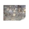 Fototapeta Flizelinowa Premium - 250 X 175 Cm - Styl Boho - Kwiaty