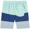 Hurley Mens Volley Colour Block Swim Shorts