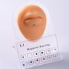 12Pcs Magnetische Ohrring Piercings Knorpel Nase Ring Nicht Durchbohrt Schmuck