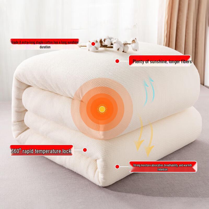 

JYP Xinjiang Long-Staple Cotton Handmade Quilt