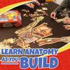 100 Pieces Human Anatomy Puzzle Educational Jigsaw Brain Teaser Toy for Boys Girls Students Homeschool Classroom Learning