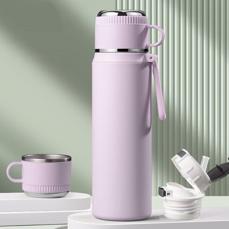 Portable Insulated Straw Water Bottle
