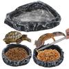 Reptile – Terarii pentru reptile