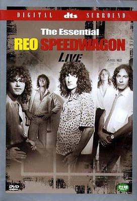 DVD DVD  Styx and Reo Speedwagon Arch Allie DL014 NOT ON LABEL 2005 South Kore Rock Used