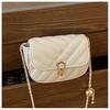 2024 New Women's Crossbody Bag Street Fashion Shoulder Bag Casual Trendy Purse Stylish Chain Bag