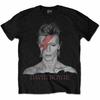 Offizielles David Bowie T-Shirt Aladdin Sane Schwarz Herren Klassisches Rock-T-Shirt Unisex NEU