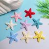 100Pcs New Models Resin Cute Cartoon Starfish Series Flat Back Scrapbooking DIY Jewelry Craft Decoration