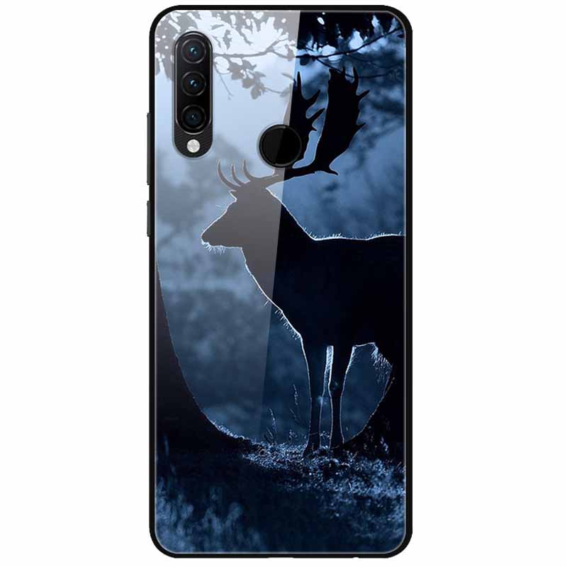 For Huawei P30 Pro Lite Case Cool Tempered Glass Luxury Coque Covers for Huawei P20 Lite P 20 P20Pro P30Pro P 30 Hard Back