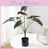 Planta Artificial Estilo Folha de Alocasia Odora com Cesta Artesanal Para Decoração de Casa