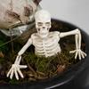 Halloween Dekoration Skelett Oberkörper mit Krabbeln für Tischdekoration