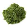 Bionischer Moosrasen: Künstliche Mikro-Landschaftsornamente für Rasen, Bonsai und Pflasterung.