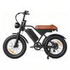 EB5Max Bicicletta Elettrica con Ruote Grasse a 7 Marce Batteria 48V 18.2AH Autonomia 85 Miglia 250W velocità 25KM/H Bicicletta Elettrica