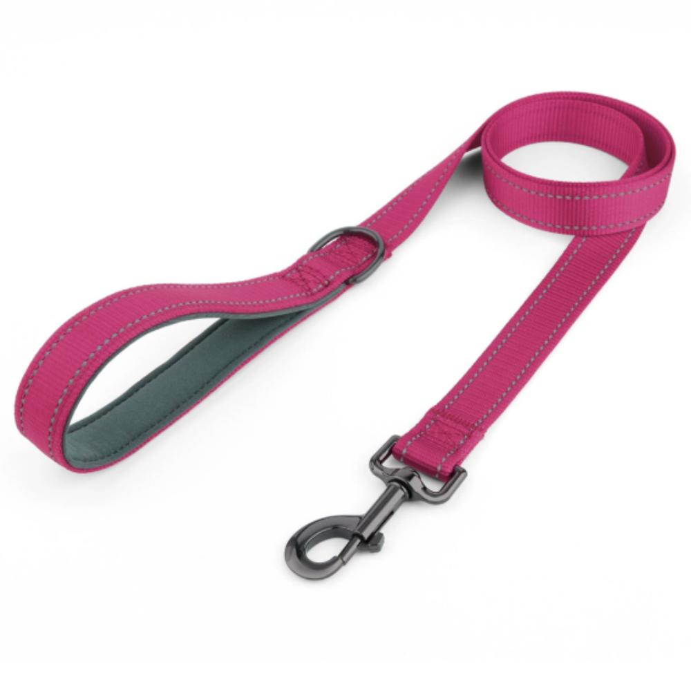 Upgraded Duplex Chest Back Medium and Large Dog Can Lift Chest Strap French Bucket Corgi Comfortable Dog Leash