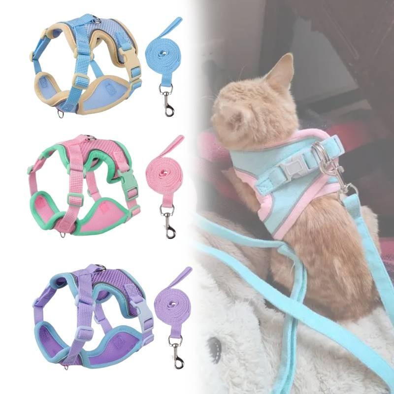 Klassische Colorblock-Haustierleine mit doppellagigem Netzstoff für Katzen und zum Verschenken