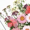 1 Set Dried Pressed Flowers Kit Colorful Natural Flowers DIY