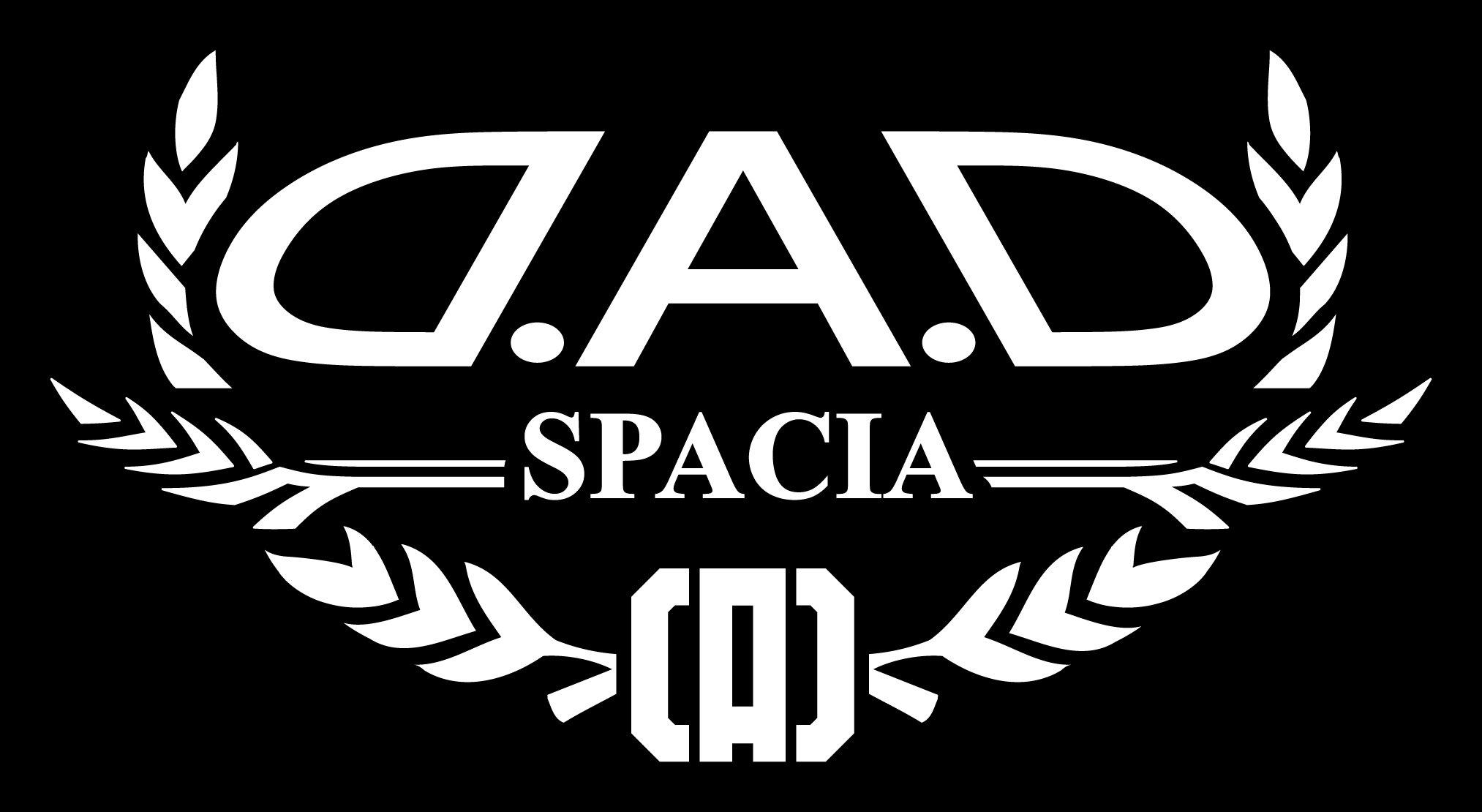 

НАКЛЕЙКА НА МОДЕЛЬ АВТОМОБИЛЯ Garcon DAD Model Spacia [Автонаклейка] (белый) ST110-04 ДАД