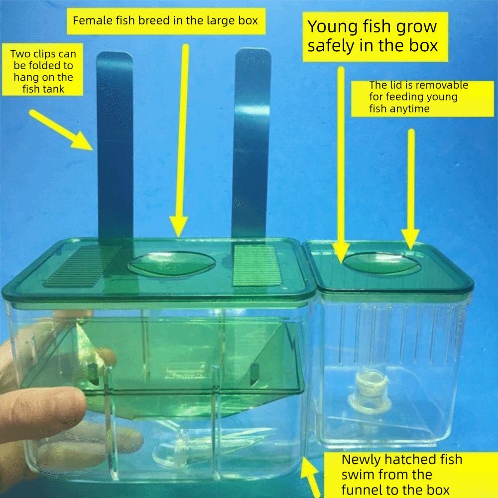 Transparent Fish Tank Hatchery Slotted Design Breeding Isolation Box  Isolation