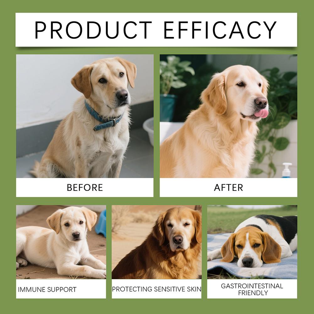 Dog Taurine Powder For Heart Health Supplement Gentle Formulas For Sensitive Stomachs. Caring Pet Parent China Mainland