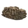 Dinosaur Fossil Aquarium Decoration Resin Reptile Ornament Aquarium Animal Craft for Fish Tank