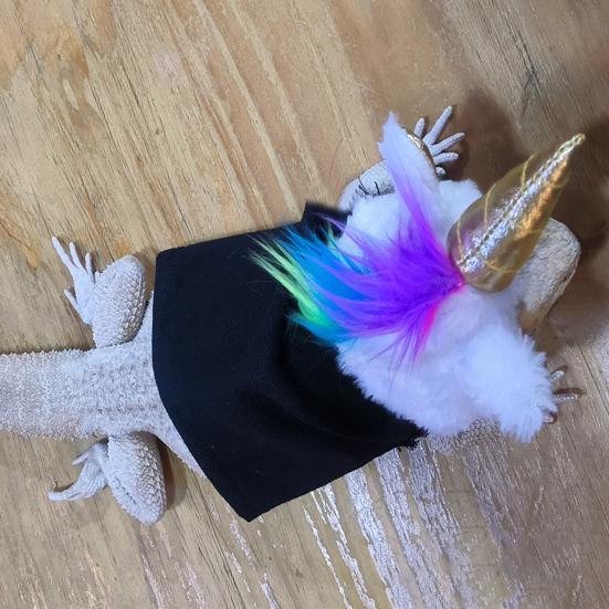 Lizard Hat Licorne Shape Fastener Tape Adjustable Size Breathable Non-Fading Washable Pet Headgear Photo
