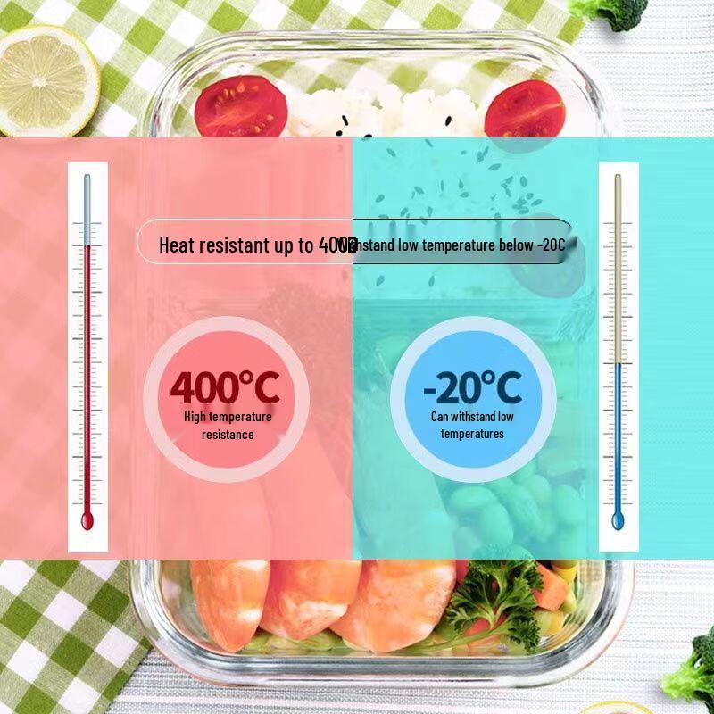 SikaiZhuo Glass Food Storage Bento Box Set