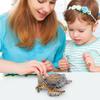Sea Turtle Figurine Realistic Tortoise Toys Colorful Educational Turtle Toy For Children Boys Girls