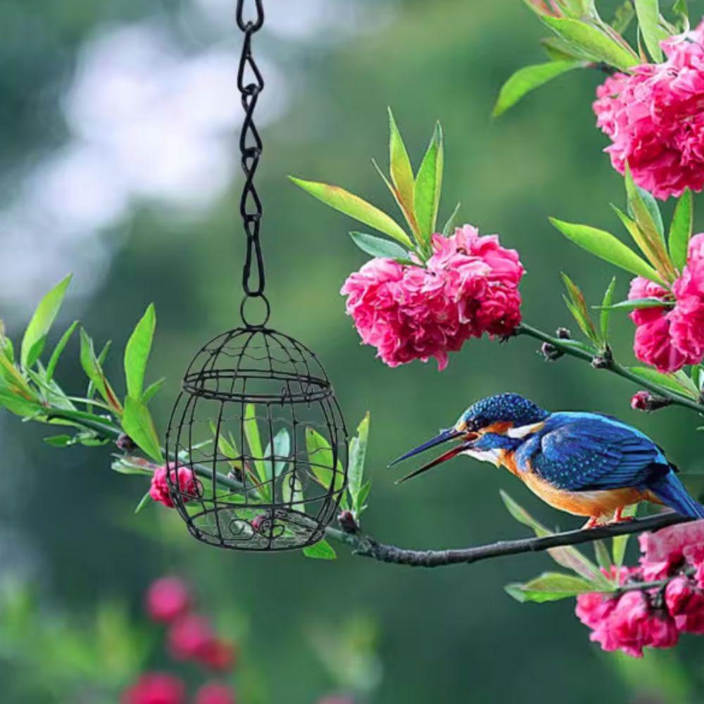 Iron Bird Feeding Wire Cage Bite Resistant Bird Feeding Basket Durable Hanging Bird Feeder Garden
