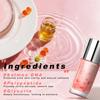 Facial Serum Firming And Facial Serum For Smooth And Skin 50ml