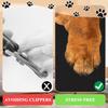 9 Pcs Dog Nail File Scratcher Self-Adhesive Replacement Sandpaper for Dog Scratch Pad Nail Files for Pet Manicure & Pedicure, Litter Box, Furniture