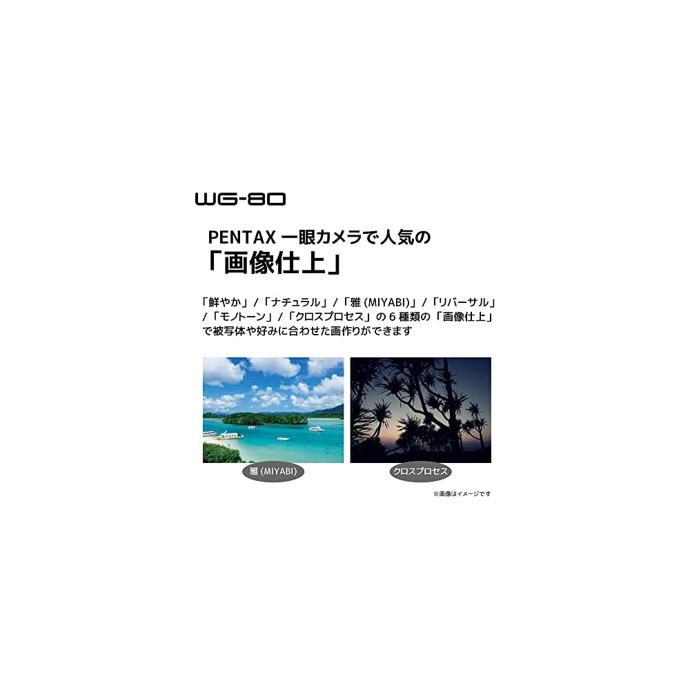 RICOH WG-80 BLACK: Ricoh's professional waterproof digital camera. 14m waterproof (2 hours continuous use), 1.6m shockproof, dustproof, -10℃ cold resi