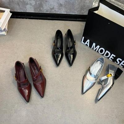Französische silberne Einzelschuhe Damen 2025 neu schlicht leichter Luxus retro vielseitig leichter Ausschnitt spitz zulaufender dicker Absatz Mary Jane Schuhe