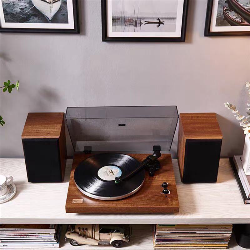 Plattenspieler Magnet Tonabnehmer Nadel Für Schallplattenspieler LP Plattenspieler Grammophon Phonograph Zubehör