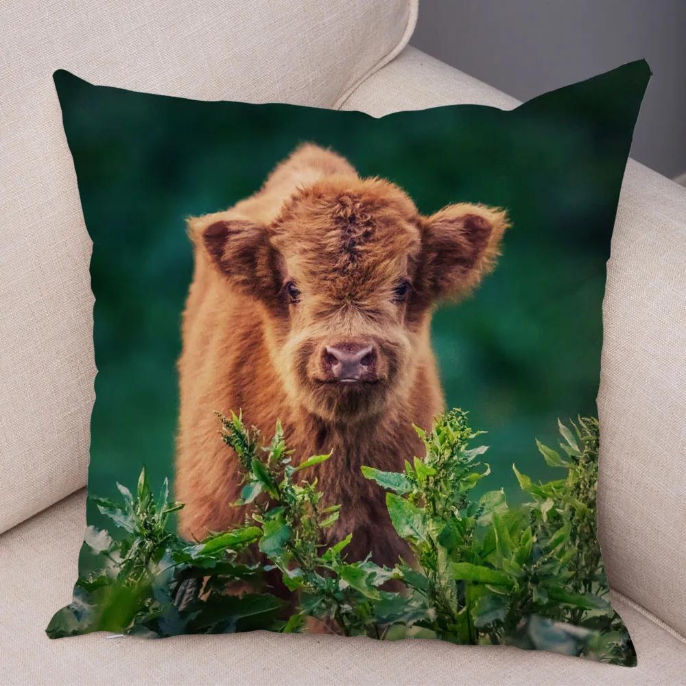 Scotland Kyloe Pillow Case Decor Wild Cow Colorful Animal Print Pillowcase Soft Short Plush Cushion Cover for Home Sofa 45x45cm