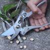 Multi-Functional Japanese Pruning Shears: Labor-Saving, Thick Branch, and Fruit Branch Cutters for Gardening