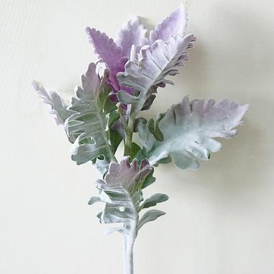 1ks Umělý Senecio Cineraria Fake Plant Photo Prop DIY Home Office Decor