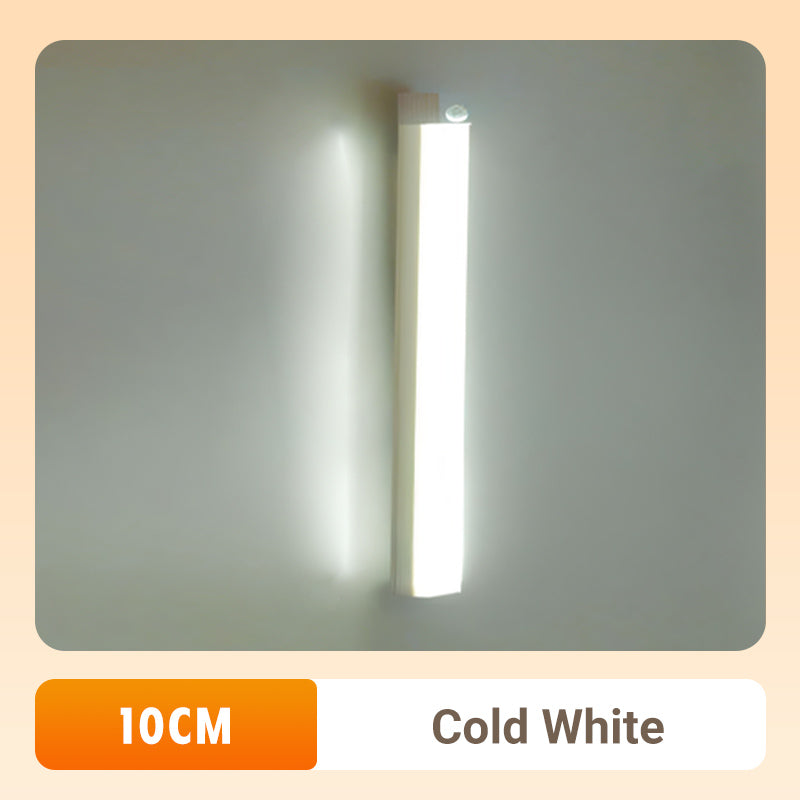 

LED Smart Magnetic Human Body Sensor Light