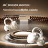 Newmine T29 Clip-On Wireless Earbuds