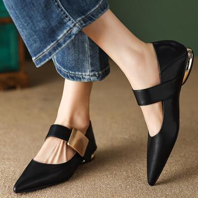 Modne Baleriny Mary Jane na Niskim Obcasie Damskie Wiosna Jesień Retro Brązowe Szpiczaste Płaskie Francuskie Buty Mule Wygodne Skórzane Buty