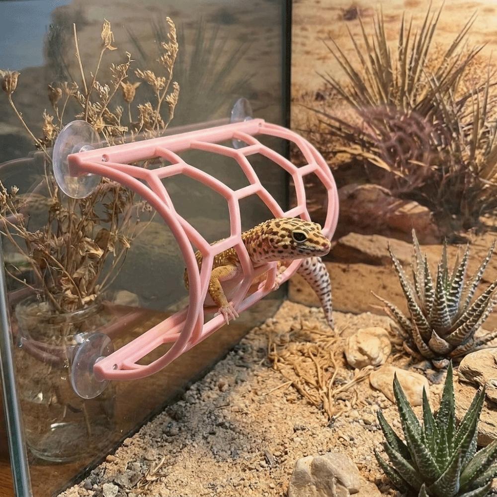 Wall Mounted Reptile Hiding Cave Plastic Snake Shelter Lizard Toy Tunnel Gecko Habitat