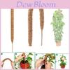 Pilar de Escalada para Plantas de Casca de Coco DIY Para Decoração Criativa de Plantas Comprimento 60-120cm