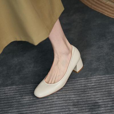 Elegant Temperament Pointed Thick Heel Single Shoes Women's 2025 Spring New Women's Shoes Shallow Middle Heel Shoes Simple Commuter Tooling Shoes