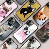 French Bulldog Dog Magnetic Phone Case For APPLE iPhone 17 Air 16 14 13 12 Pro Max 15 Plus Wireless Charge With MagSafe Cover