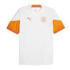 Puma Mens 23/24 Manchester City FC Training Jersey