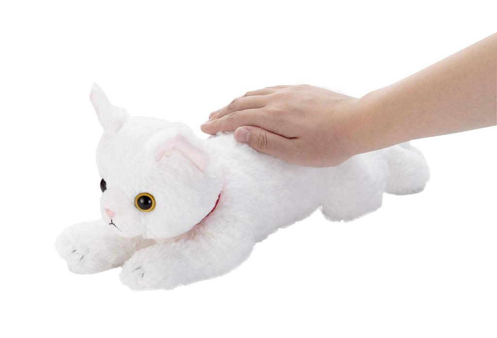 Dream Pet: I Gave Birth to a Cat