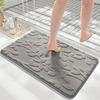 Cross-Border Chenille Quick-Dry Absorbent Bathroom Mat
