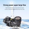 Daiwei Pool Circulation Filter Pump with Hair Collector for Bathtubs & Landscaping