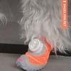 Lightweight Puppy Anti-slip Boots Ultra-soft Flexible Sole For Natural Comfort. Post-injury Paw Recovery Support