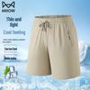 Men's Ice Silk Casual Quick-Dry Shorts