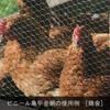 DAIDOHANT Vinyl Tortoiseshell Wire Mesh Black Diameter X 910mm X 30M 1 Roll 10160222 (Wire Mesh) (Wire D) #20 (0.85mm) (Mesh A) 10mm/(Width W) (Length